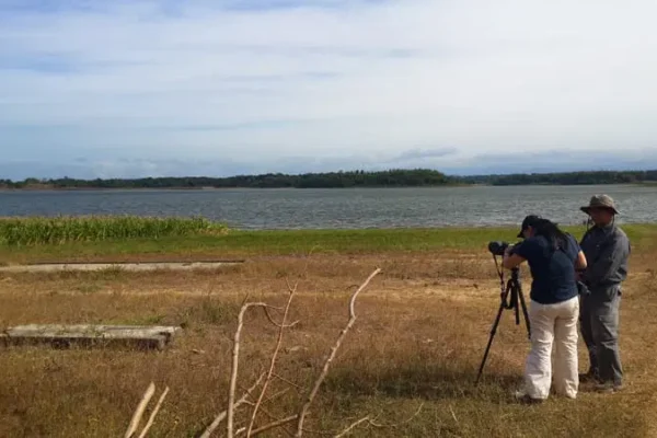 Birdwatching hailed as a fresh attraction for the northern Philippines